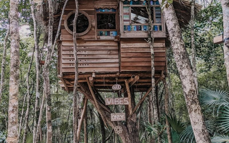 brown wooden treehouse on tree