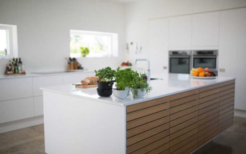 green leafed plants on kitchen island